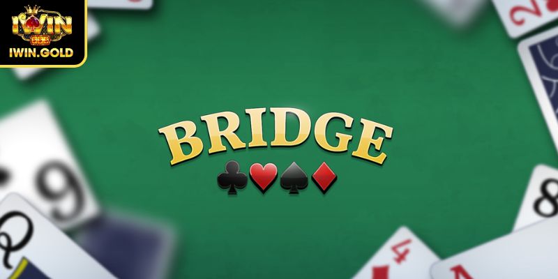 Bài Bridge là gì?
